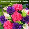 Artificial Cemetery Flowers for Grave, Set of 2 Memorial Grave Flowers for Cemetery with Vase Realistic Silk Gravesites UV Resistant Peony Flowers Decorations (Red with Purple)